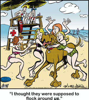 marmaduke